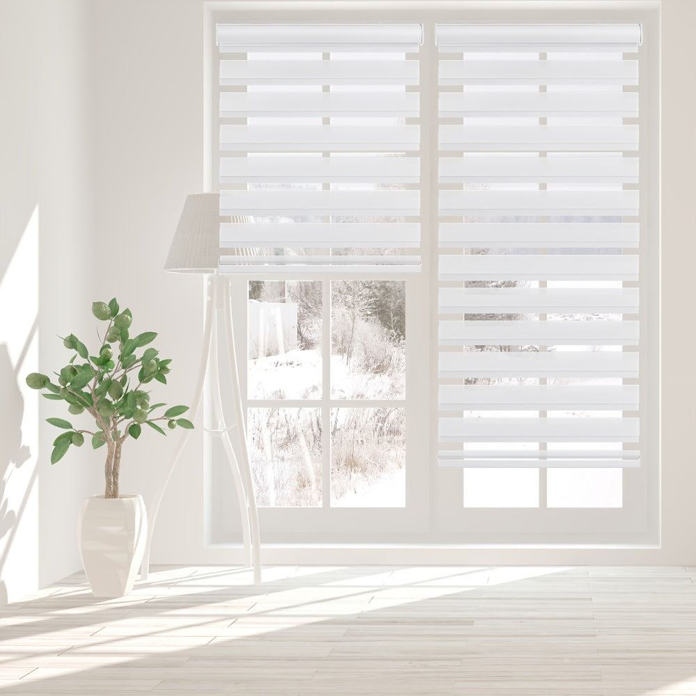 Cordless Zebra Roller Shade with Valance – Day Night Window Blind, Light Filtering Dual Layer Window Treatment Mesh Opaque Fabric