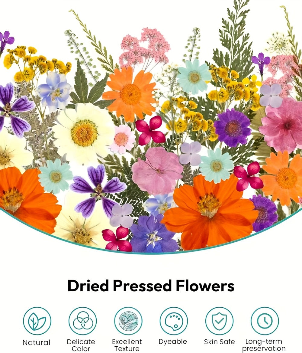 500-Piece Natural Dried Pressed Flower and Leaf Assortment for Resin, Scrapbooks, Cards and DIY Crafts