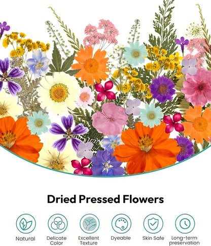 500-Piece Natural Dried Pressed Flower and Leaf Assortment for Resin, Scrapbooks, Cards and DIY Crafts