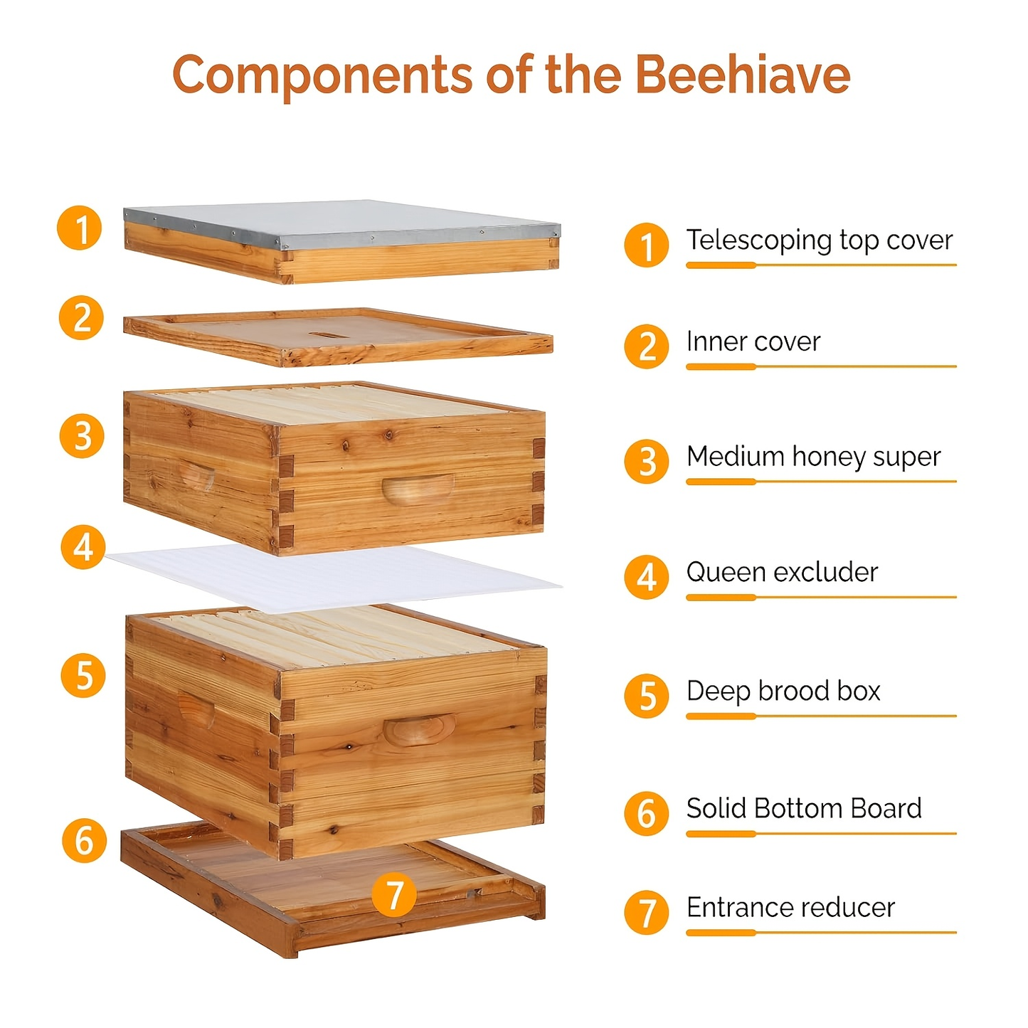 Langstroth Bee Hive Kit Wax Coated Wood 10-Frame 3-Layer Frames