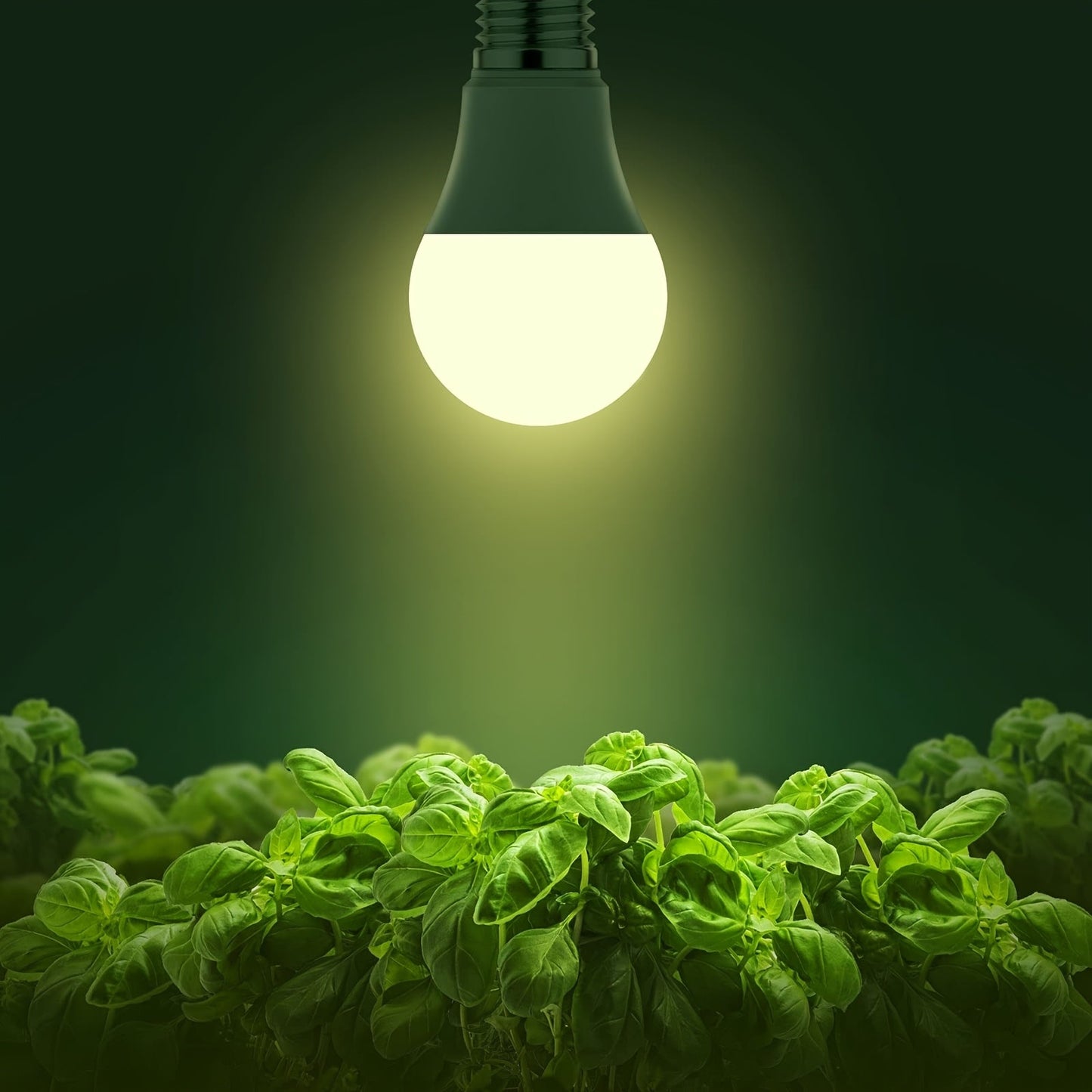 Grow Light Bulb A19 E26 Full Spectrum 9W 100W Equivalent | Natural White 4000K LED Plant Bulb for Indoor Plants Seed Starting | 2 4 6 12 Pack Options