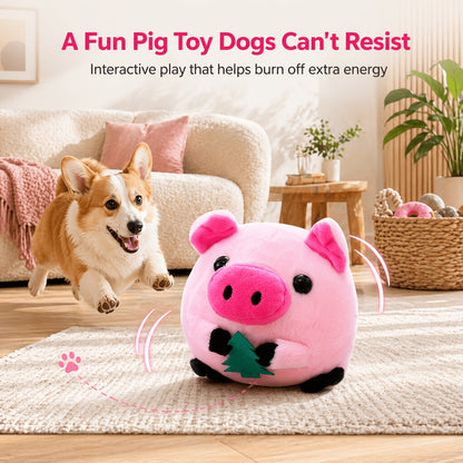 Dog Toy USB-Rechargeable Bouncing Character with Voice Recording, Music and Animal Sound Modes