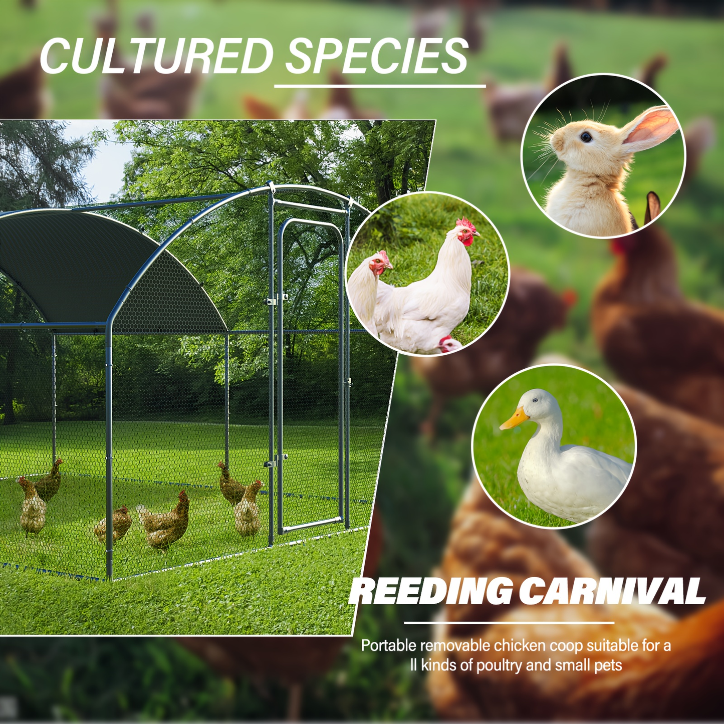 Walk-in Chicken Pen Large Metal Outdoor Poultry Enclosure Waterproof UV-Resistant Cover Heavy-Duty Yard Cage for Chickens Ducks Rabbits 3 Sizes Available