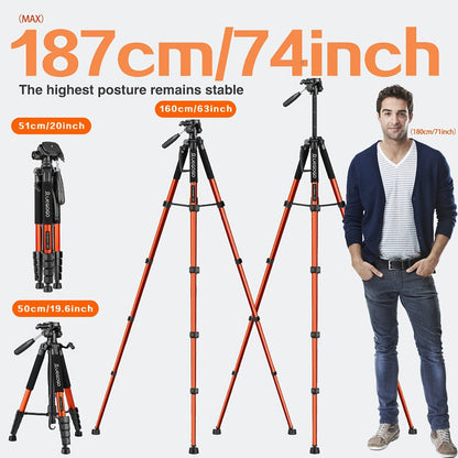 74-Inch Heavy-Duty Camera Tripod with Phone Holder Quick Release Plate & Carry Bag Professional DSLR Video Stand for Canon Nikon Sony Compatible with Cell Phones Projector Travel Tripod
