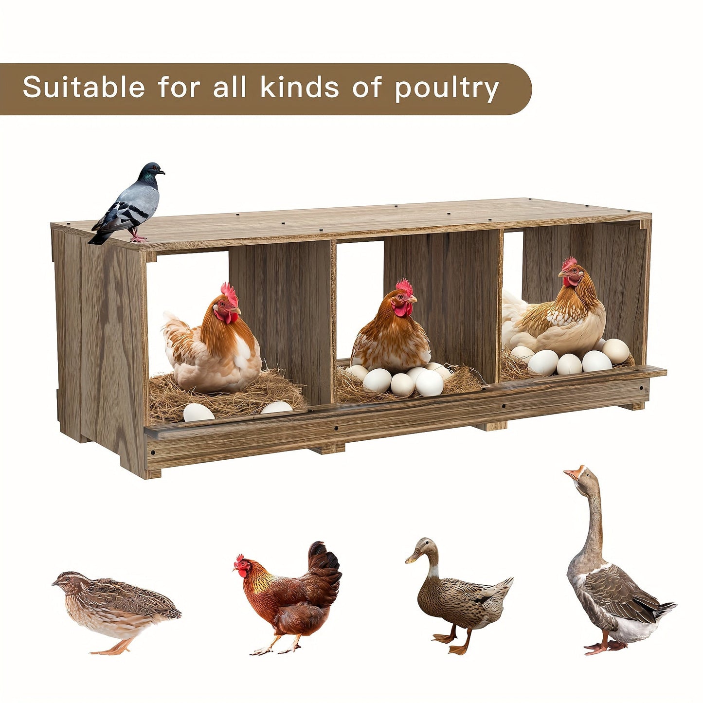 Chicken Nesting Box Wall Mount 4 Compartment Easy Egg Collection