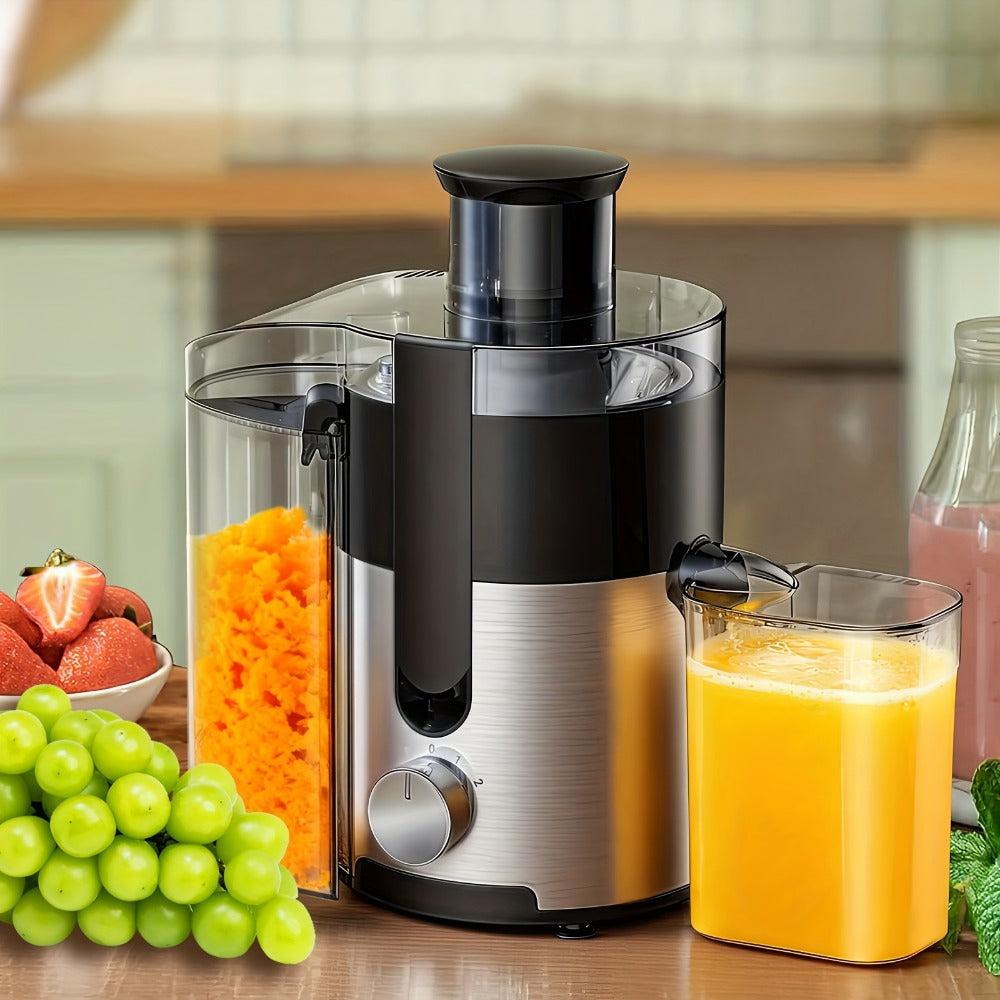 Two-Option Centrifugal Juicer Listing with Distinct Ordinary Paragraph and Juicer Body Mappings