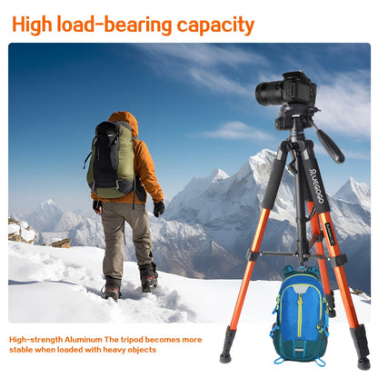 74-Inch Heavy-Duty Camera Tripod with Phone Holder Quick Release Plate & Carry Bag Professional DSLR Video Stand for Canon Nikon Sony Compatible with Cell Phones Projector Travel Tripod