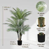 6FT with 36 leaves