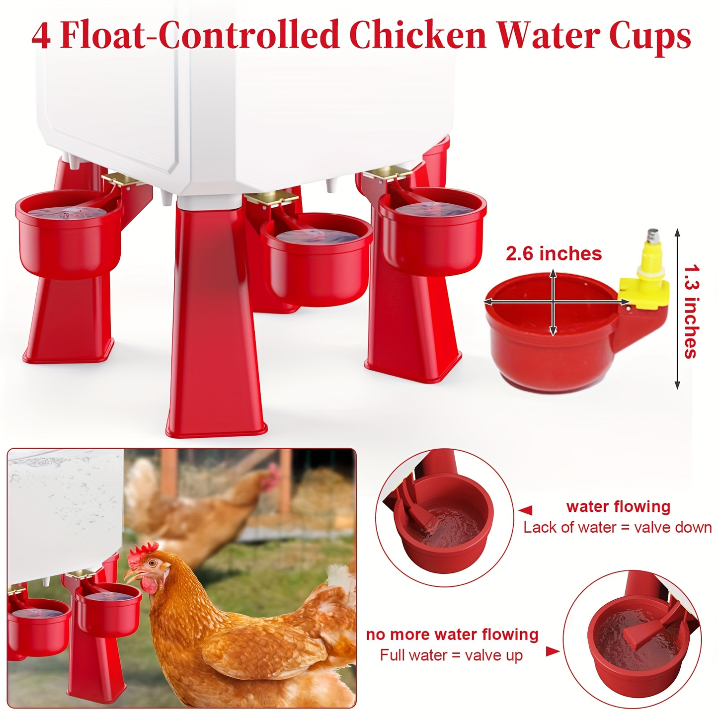 Hose-Connected Automatic Poultry Waterer with Float Valve, Four Cups and Red or Teal Color Options