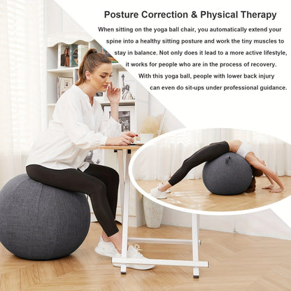 Fitness Equipment 65cm Exercise Ball Chair with Fabric Cover, Carry Handle, Pump and Two Color Options