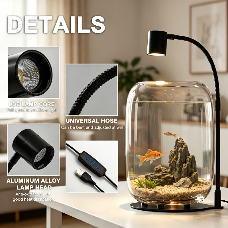 15.9 x 8.7 Inch Open-Top Glass Terrarium with USB Grow Light for Moss, Air Plants and Succulents