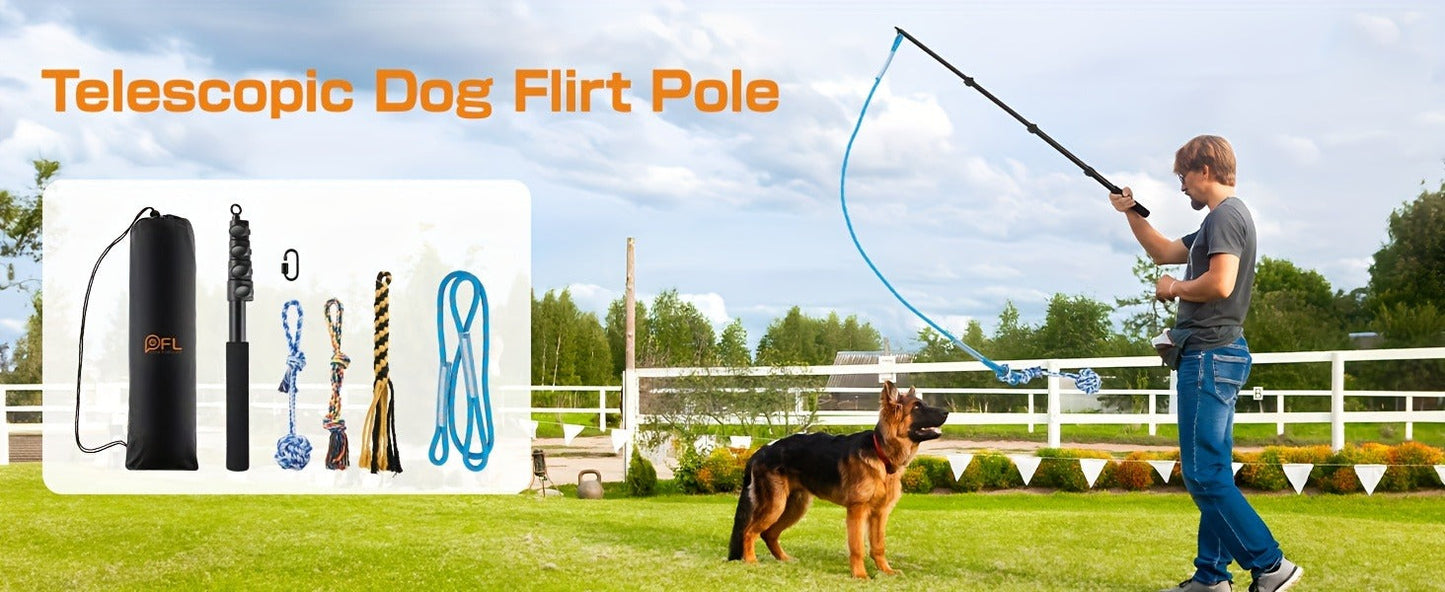 Dog Toy Telescopic Aluminum Flirt Pole with Reinforced Nylon Rope and Three Detachable Interactive Toys