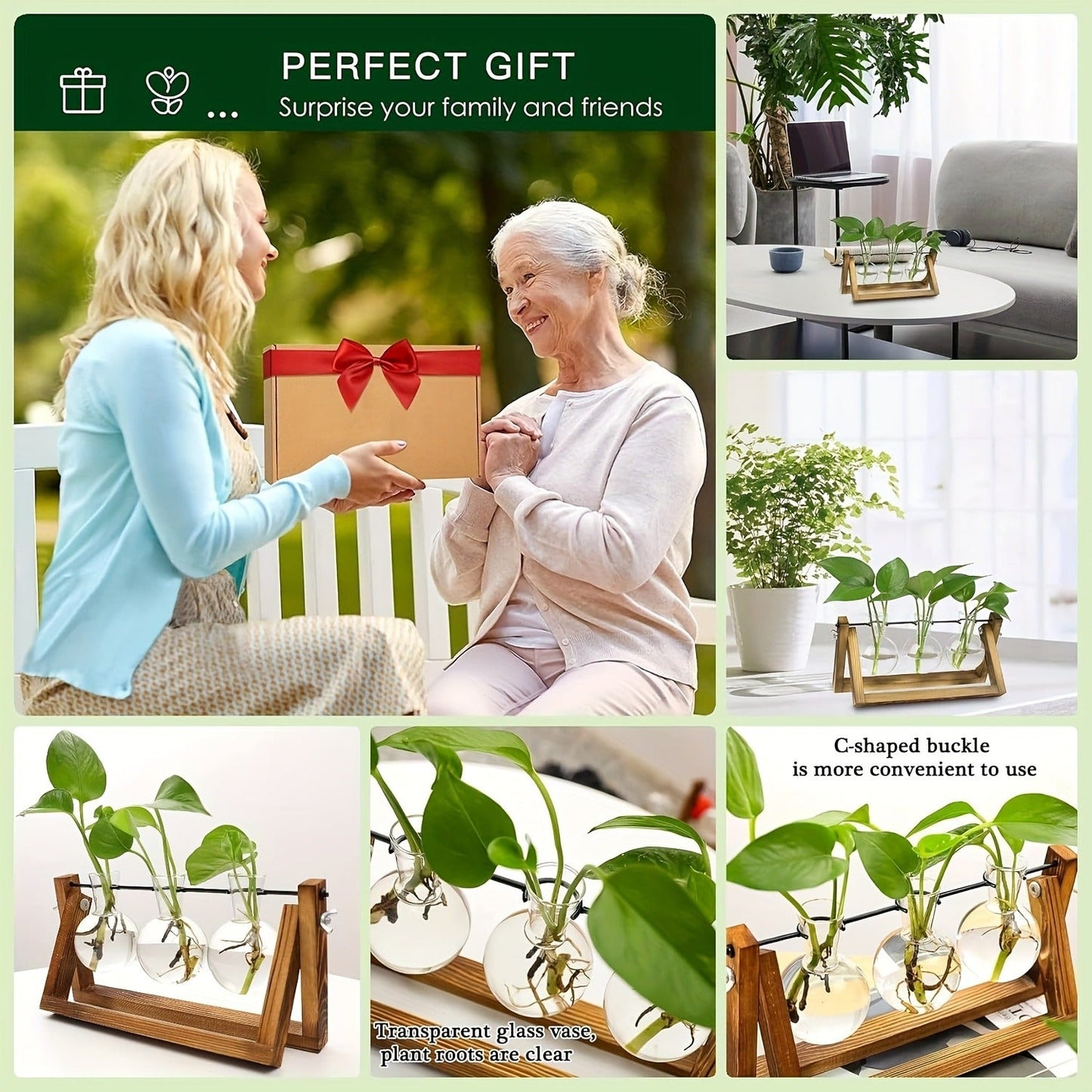 Three-Bulb Plant Propagation Station with Removable Glass Vases and 11-Inch Folding Wood Stand