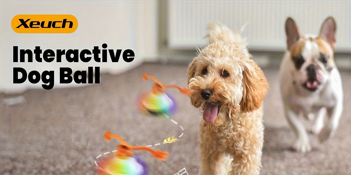 Dog Toy Motion-Activated Auto-Rolling Ball with Voice Recording, Rope and White or Gray Options