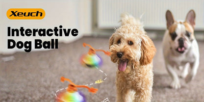 Dog Toy Motion-Activated Auto-Rolling Ball with Voice Recording, Rope and White or Gray Options