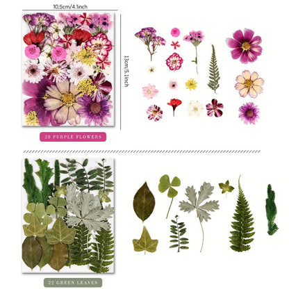 One Hundred Ten-Piece Pressed Flower and Leaf Assortment in Four Color-Themed Craft Packs Pictured