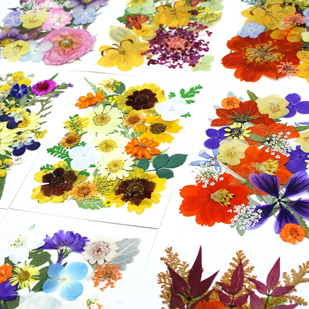 500-Piece Natural Dried Pressed Flower and Leaf Assortment for Resin, Scrapbooks, Cards and DIY Crafts