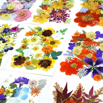 500-Piece Natural Dried Pressed Flower and Leaf Assortment for Resin, Scrapbooks, Cards and DIY Crafts