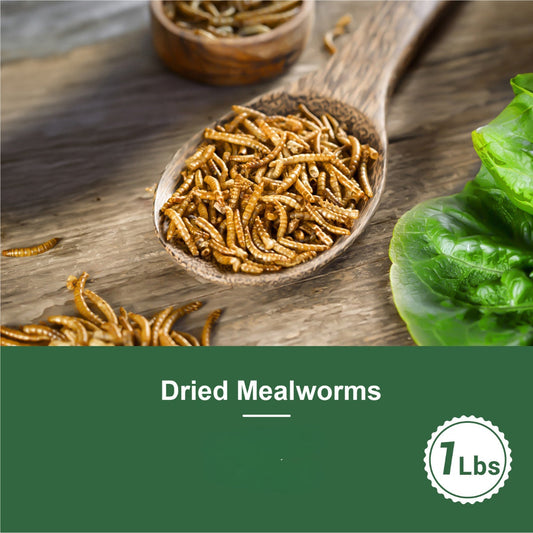 Dried Mealworms High Protein Animal Feed – Natural Insect Treats for Chickens Wild Birds Hens Ducks Turtles Fish Lizards Hamsters, Non-GMO Dried Larvae Pet Food Supplement, 0.6LB to 44LB