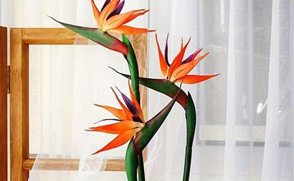 Artificial Bird of Paradise Flower Stems, Three-Piece 24.5-Inch Rubber-Labeled Set in Four Colors