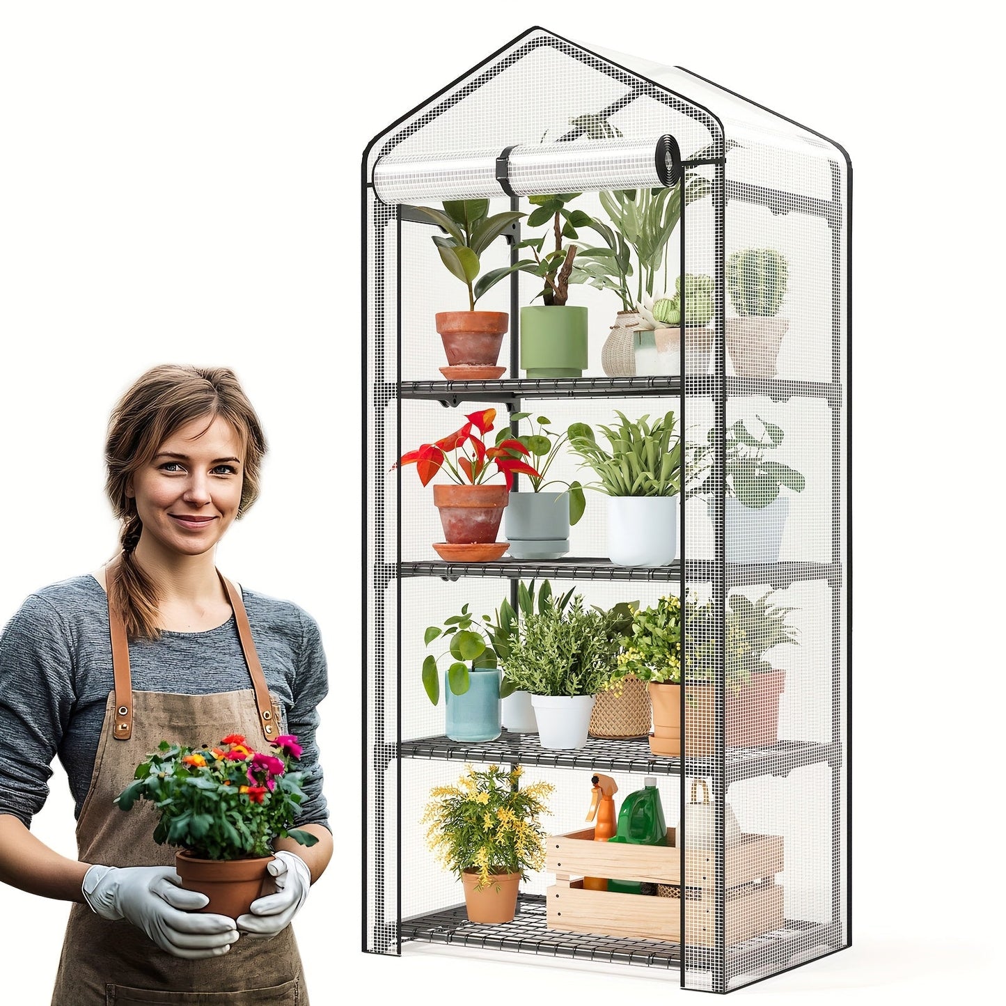 Three- or Four-Tier Mini Plant Greenhouse with Aluminum Frame and PE Cover in Four Checkout Options