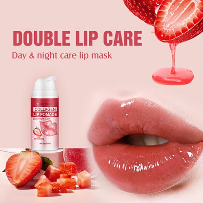 30 g Clear Lip Pomade in Single Checkout Option for Day or Night Lip Care and Glossy-Finish Routines