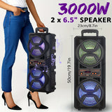 Dual 6.5in Speaker