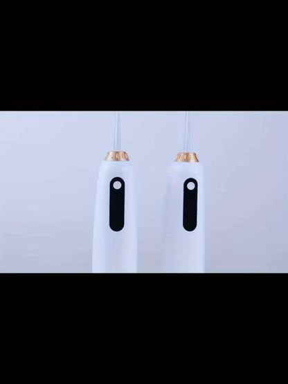USB Rechargeable Electric Toothbrush and Water Flosser Set with Three Modes, Four Heads and Four Nozzles