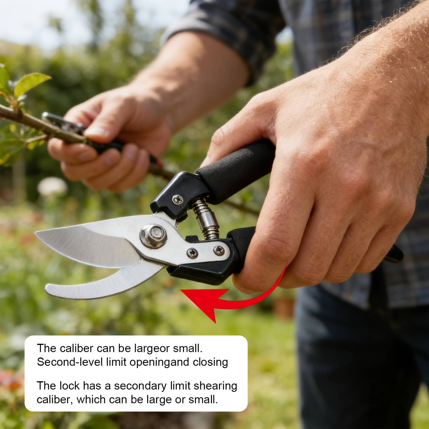 Stainless Steel Pruning Shears, 8.27 Inches with Sharpening Stone in One- or Two-Set Options