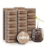 50pcs