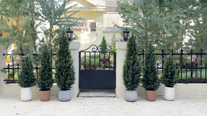 Artificial Cedar Topiary Trees in 2 or 3 Foot Heights with One- or Two-Piece Pack Checkouts