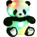 7 inch with light up