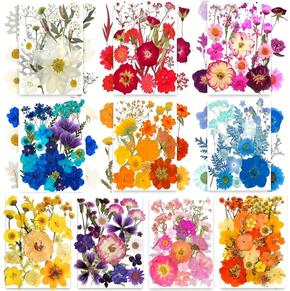 500-Piece Natural Dried Pressed Flower and Leaf Assortment for Resin, Scrapbooks, Cards and DIY Crafts