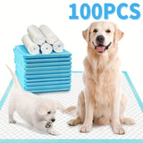 6X Thicker- 100 Pads