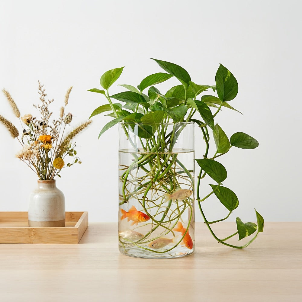 Glass Cylinder Vases for Centerpieces Bulk 12/24pcs – Clear Flower Vases for Wedding Decorations, Floral Arrangements, Home, Restaurant & Party Table Decor, 6x3.4in