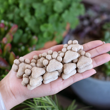 Stepping Stones | Cat Paw Resin Garden Lawn Pathway Bonsai Cat Lover