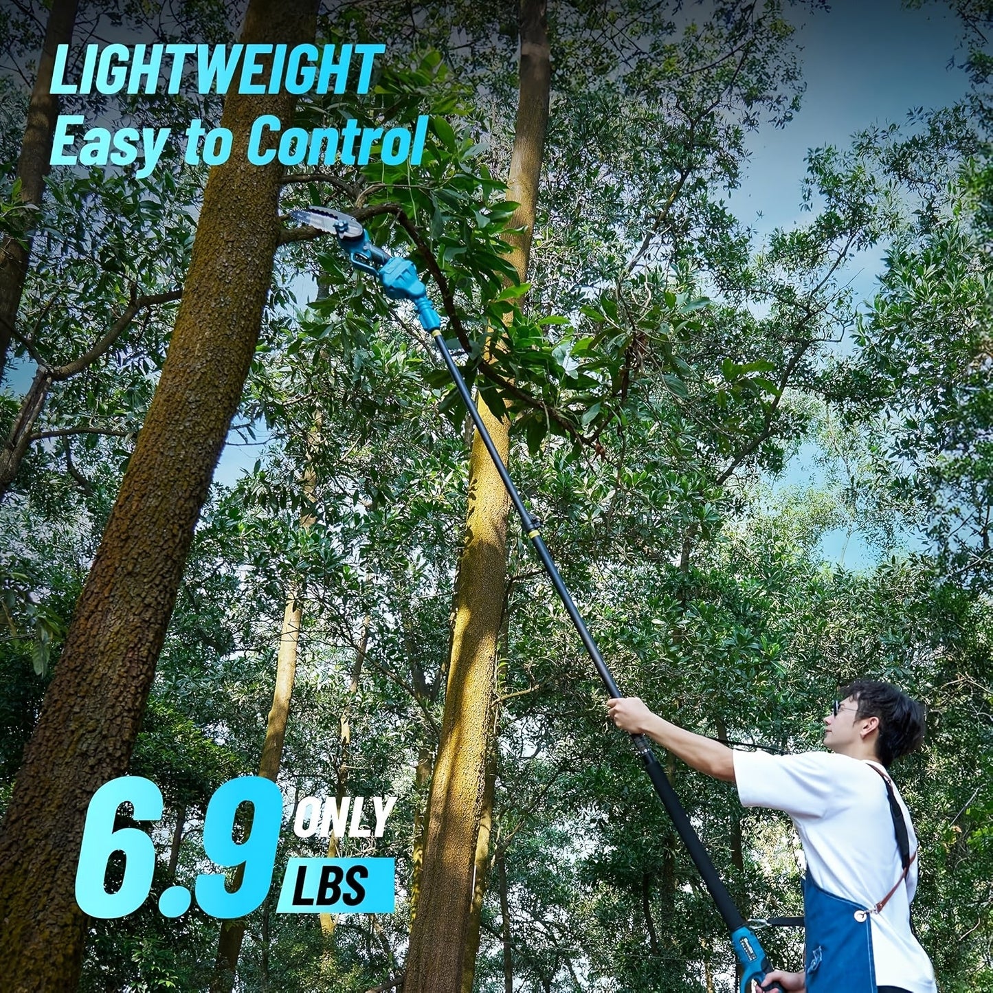 Blue 6-Inch Cordless Pole Saw with 2.0Ah Battery Label, 4.6–10 Foot Extension and Two Package Options