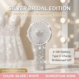 Elegant Silvery