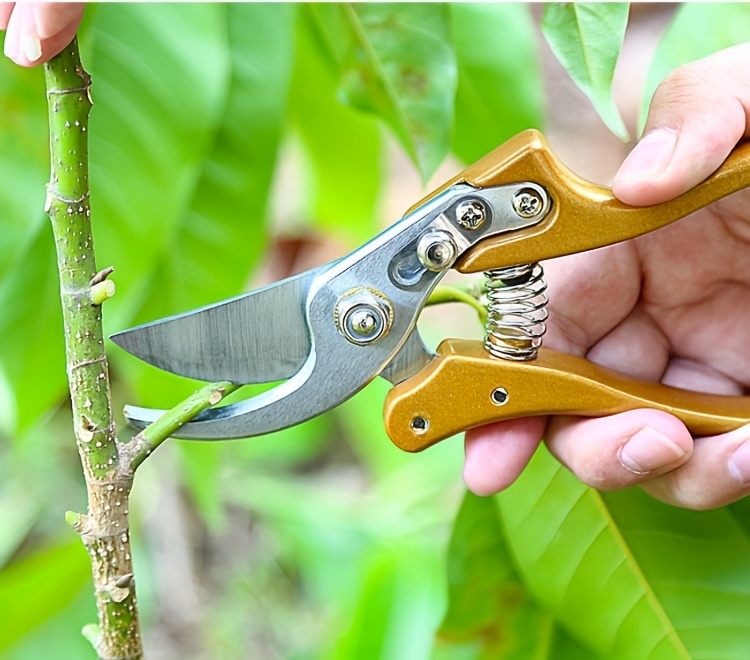 Japanese Gardening Shears Heavy Duty with Ergonomic Handle, Floral Scissors & Pruning Shears for Plant Trimming, Branch Cutting & Outdoor Garden Work – Gold & Black