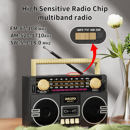 Portable AM/FM/SW Radio with 1200mAh Battery, Bluetooth, USB/TF/AUX Playback and LED Flashlight