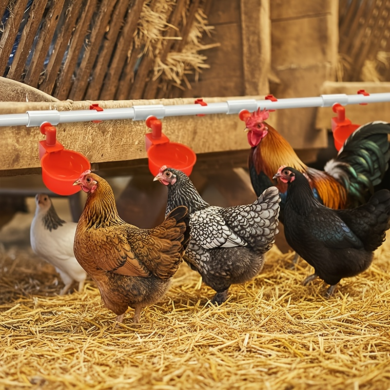 Automatic Poultry Watering System Kit with 10 Red Cups, PVC Pipe Fittings, Regulator and Hose Connections