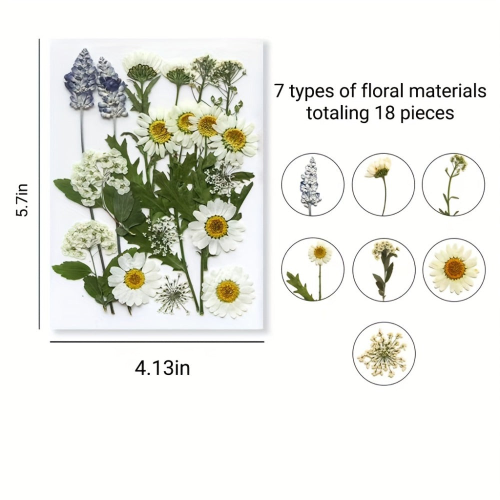 Pressed Flower Craft Set in 189, 238, 287 or 319-Piece Mixed Packs for Resin and Paper Projects