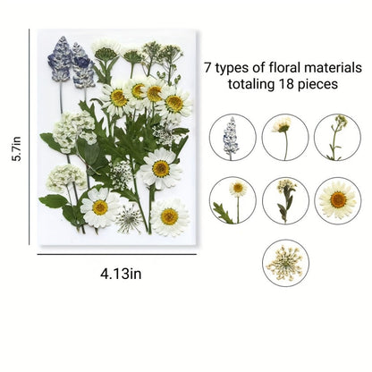 Pressed Flower Craft Set in 189, 238, 287 or 319-Piece Mixed Packs for Resin and Paper Projects