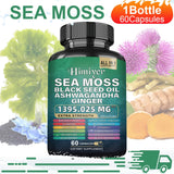 1 Bottle Sea Moss