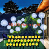 Warm Color