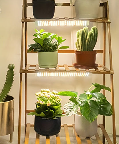 Grow Light | Full Spectrum 270 LED Timer Dimmable Indoor Plants Seedling