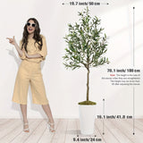6FT with White Plastic Pot