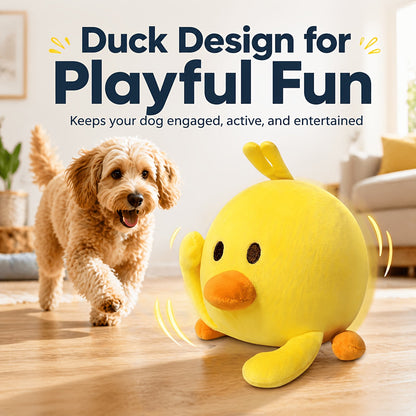 Dog Toy USB-Rechargeable Bouncing Character with Voice Recording, Music and Animal Sound Modes