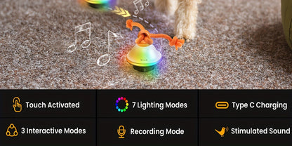 Dog Toy Motion-Activated Auto-Rolling Ball with Voice Recording, Rope and White or Gray Options
