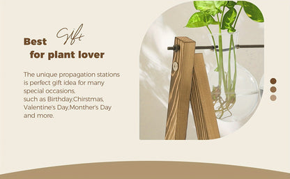 Heart-Shaped Glass Propagation Vase with Removable Bottle and 11-Inch Folding Wooden Display Stand